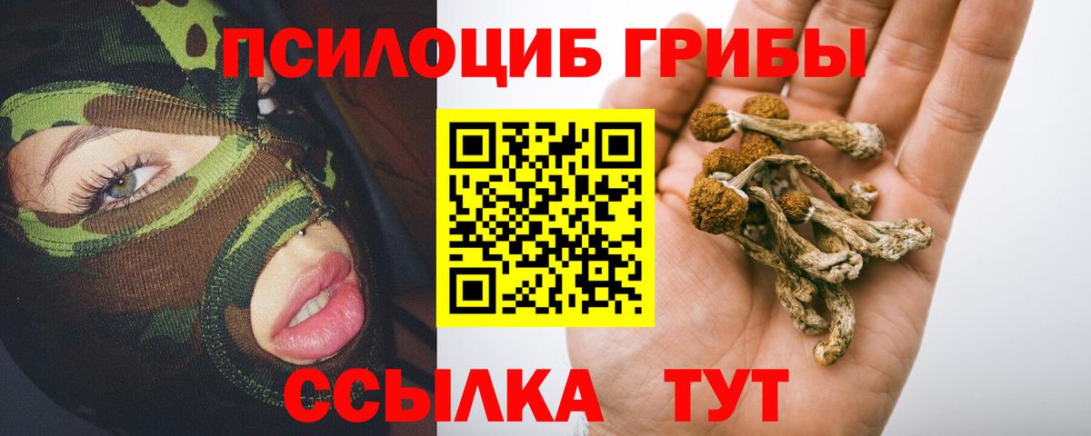 ТГК Новозыбков