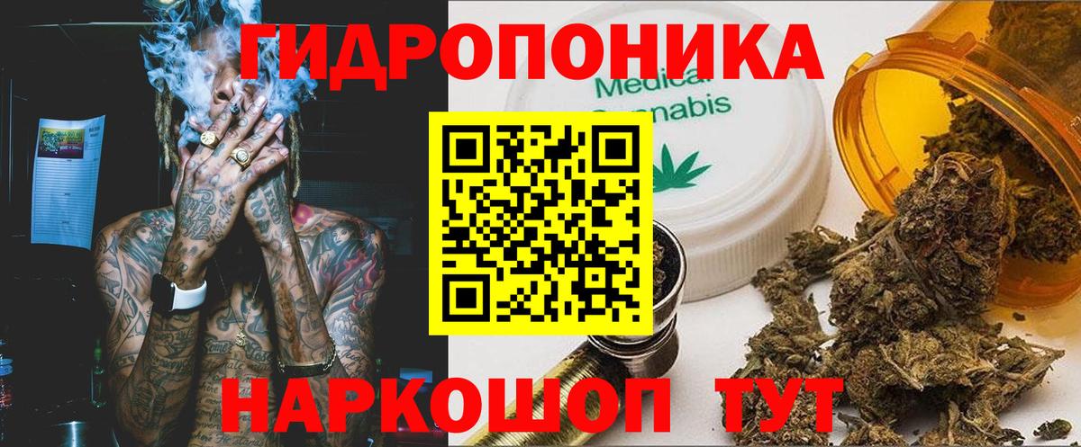Шишки марихуана тримм  Каннабис AK-47  Канабис ГИДРОПОН  Конопля AK-47  Вход с VPN  Новозыбков 